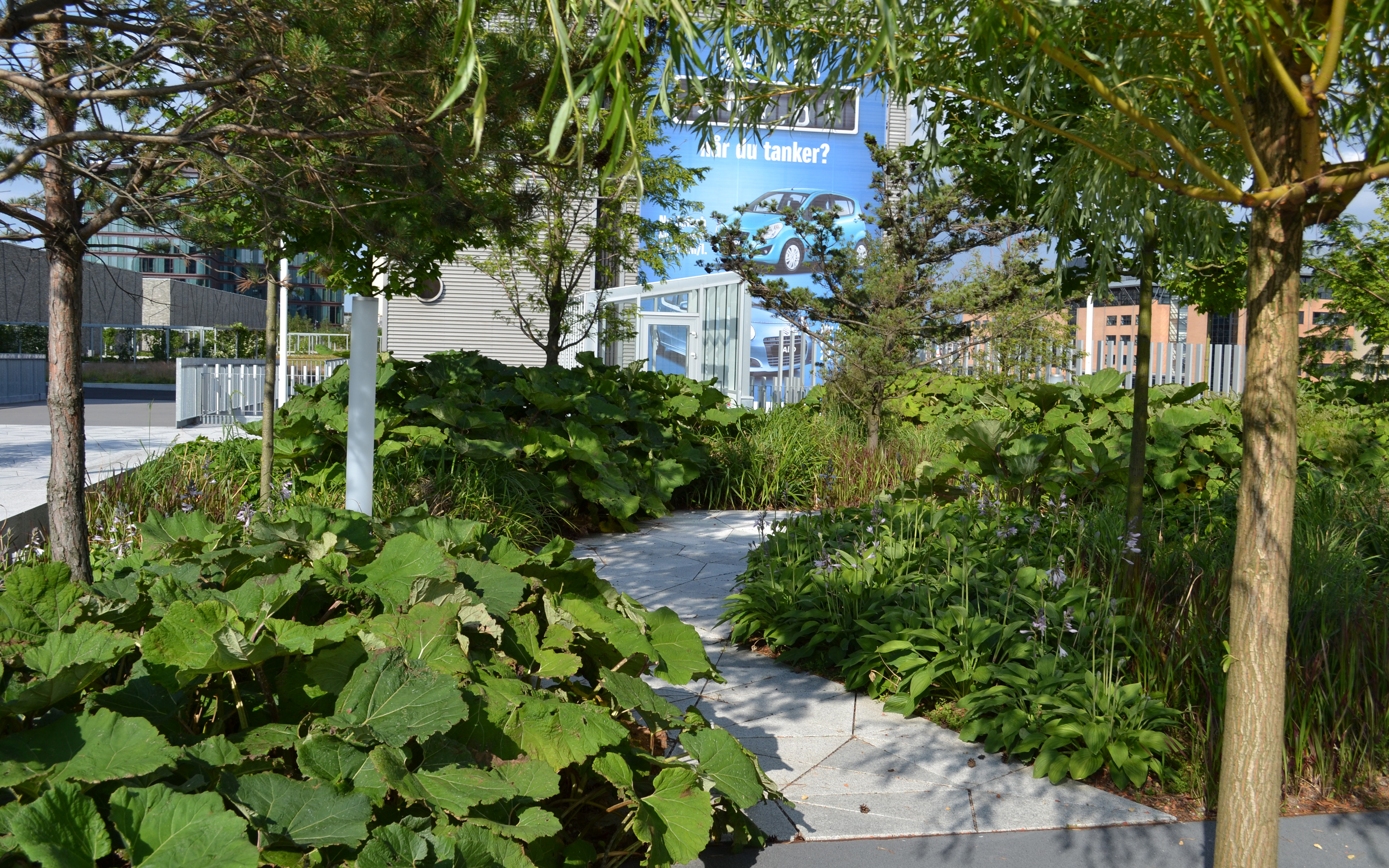 A pathway and luscious vegetation with shrubs and trees